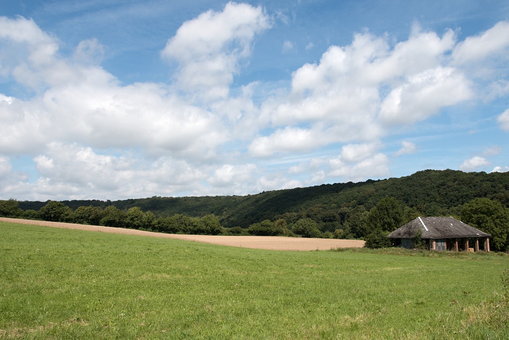 lente zomer herfst winter seizoen seizoenen voorjaar najaar hdr paddenstoelen bladeren mist regen sneeuw strand vakantie
